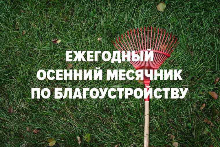 Месячник по благоустройству с 01.10.2024 по 31.10.2024. Месячник по благоустройству с 01.10.2024 по 31.10.2024.